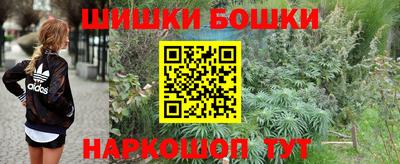 МДПВ Гай