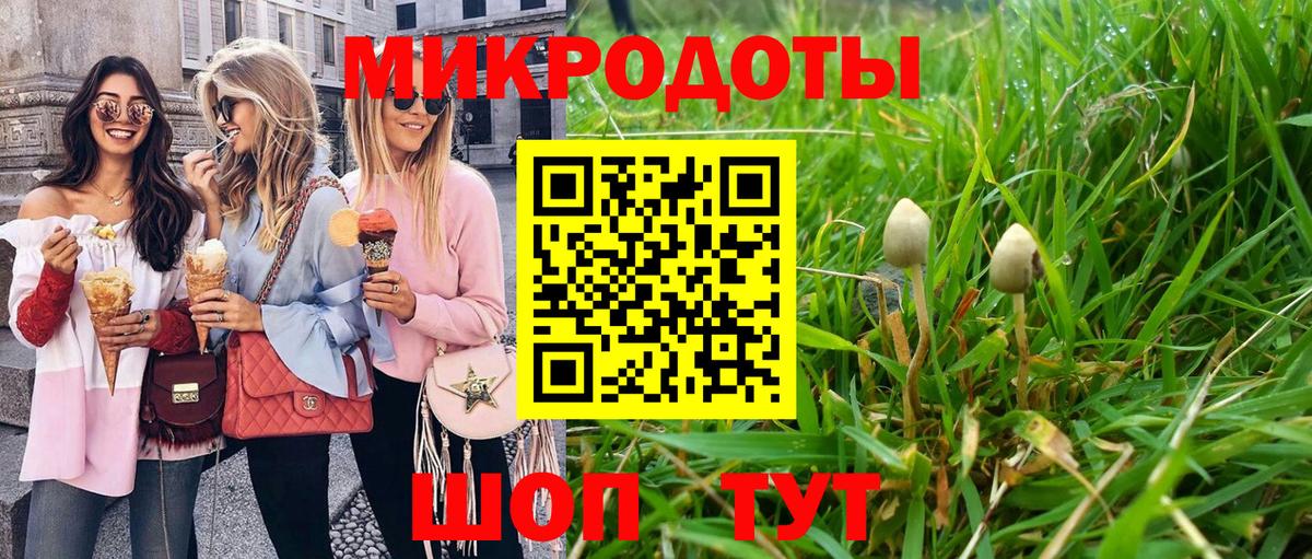 закладки  Галлюциногенные грибы Psilocybine cubensis  Вход с VPN  Псилоцибиновые грибы Psilocybine cubensis  Городец 